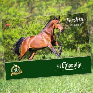 St. Hippolyt hovedkatalog DK