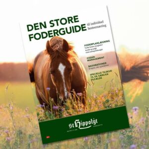 St. Hippolyt – Den store fôrguiden, 1 stk.